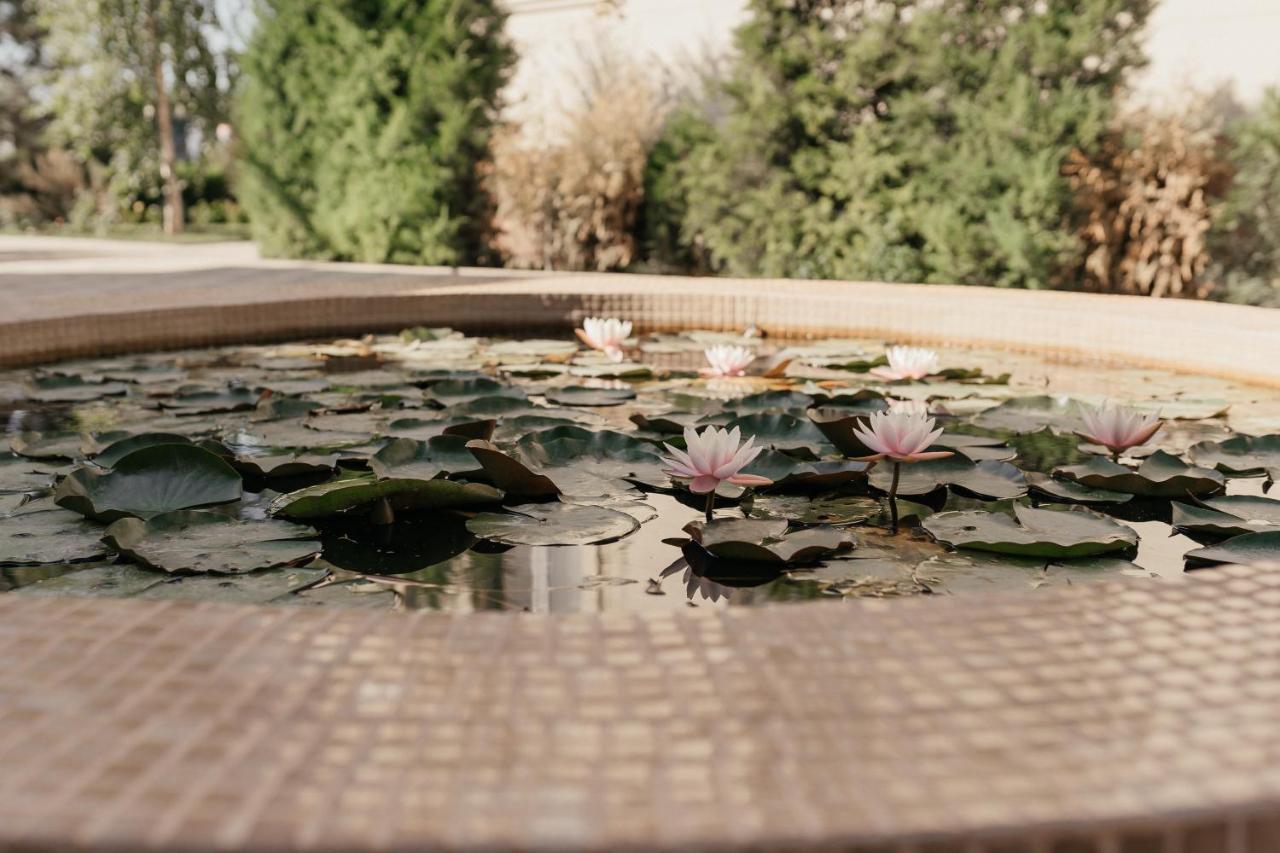 Casa De Higos Bed and Breakfast Samarkand Buitenkant foto